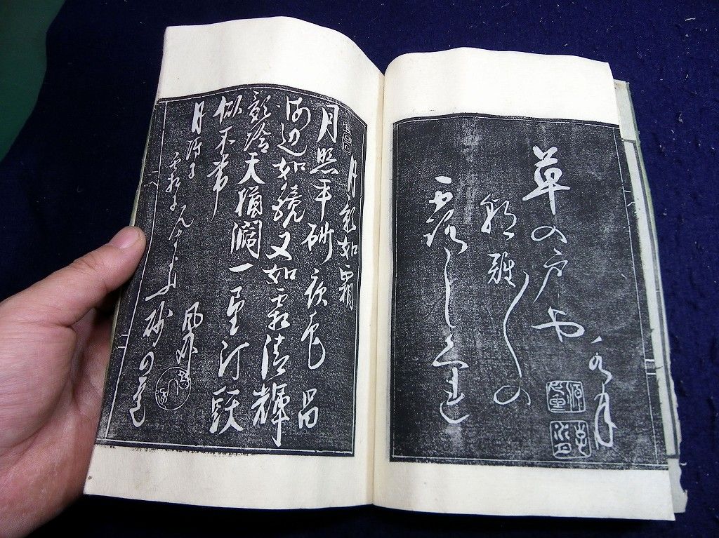 イメージ 4