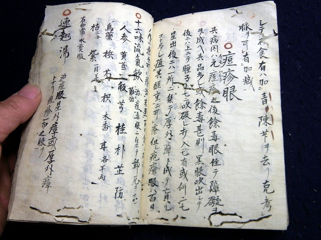 イメージ 8