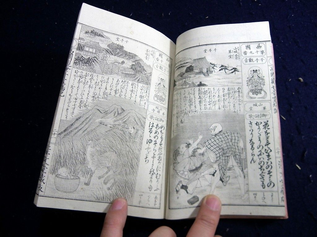 イメージ 7