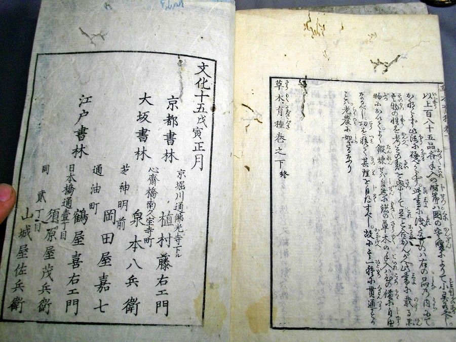 イメージ 5