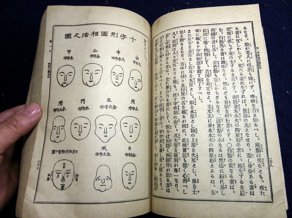 イメージ 8