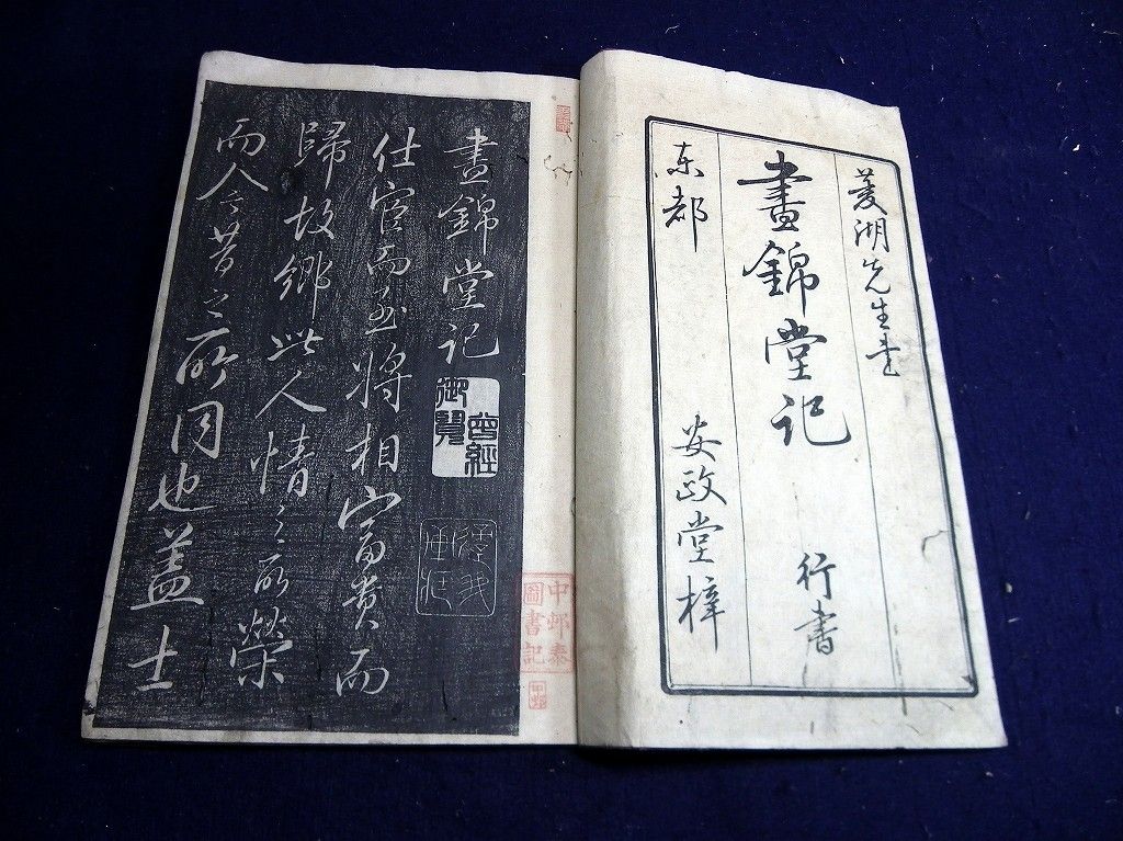 イメージ 10