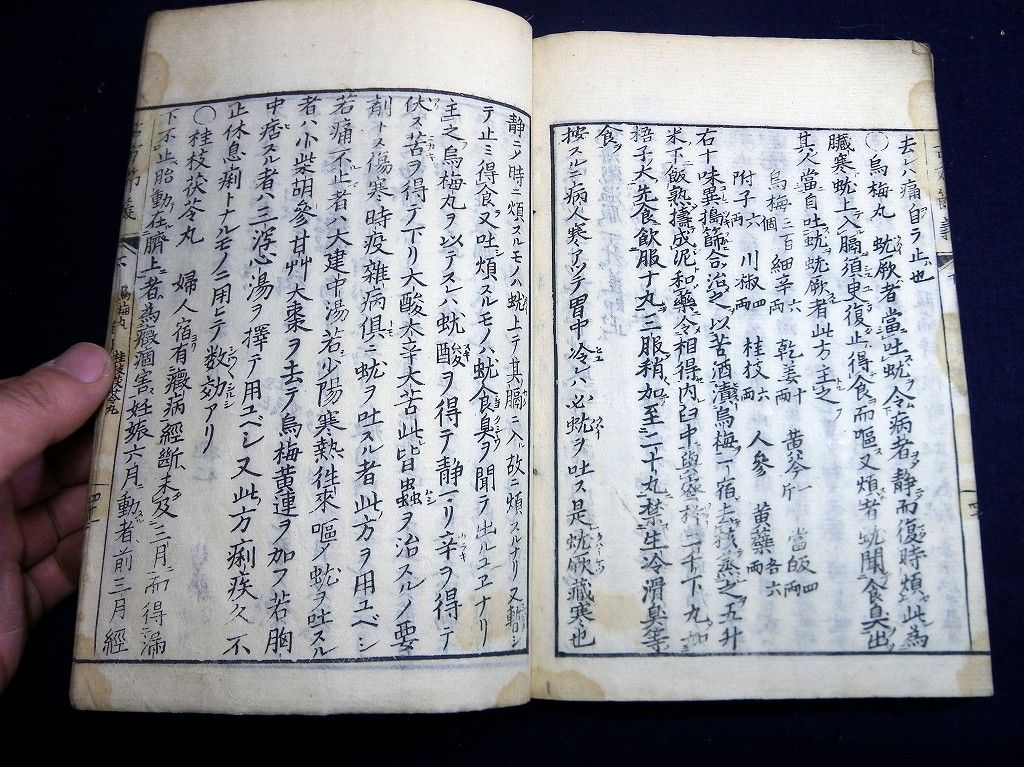 イメージ 7