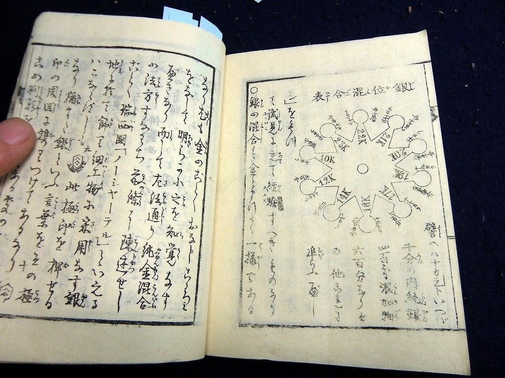 イメージ 7