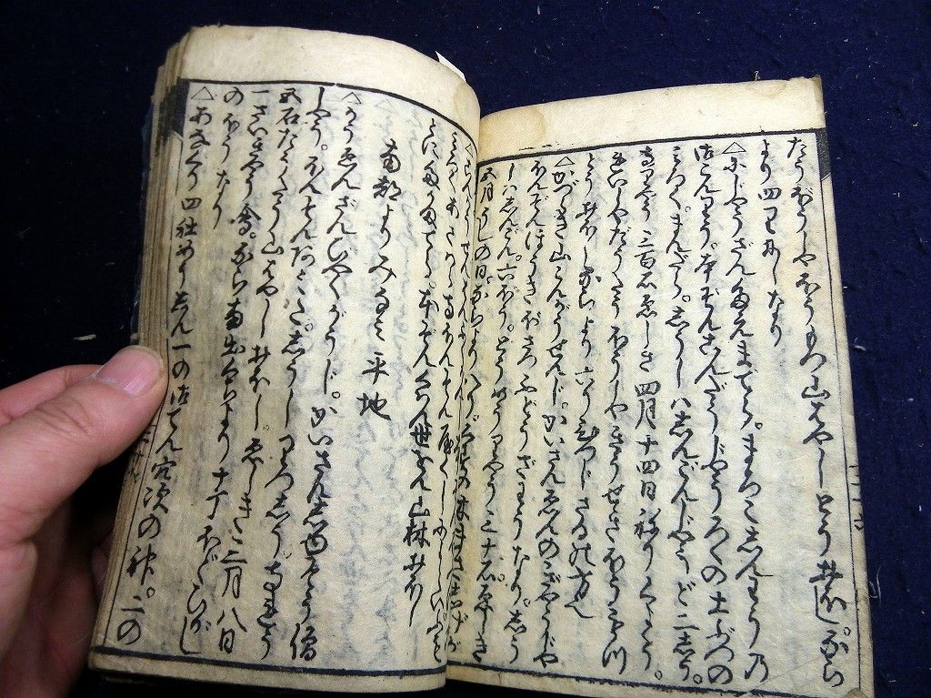 イメージ 6