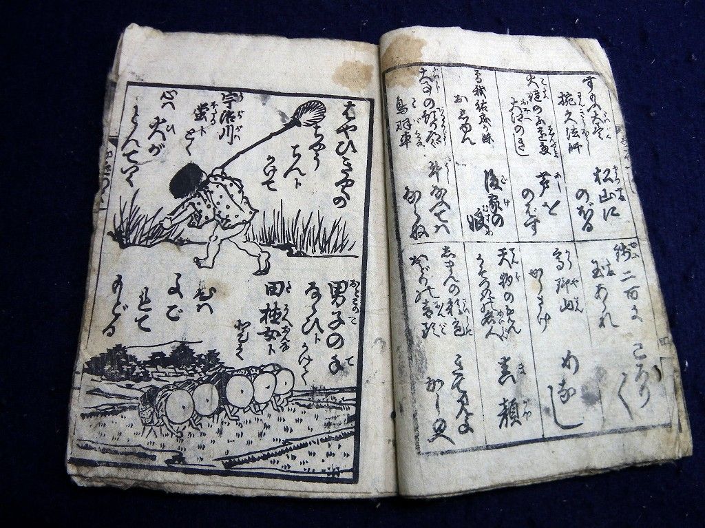 イメージ 6