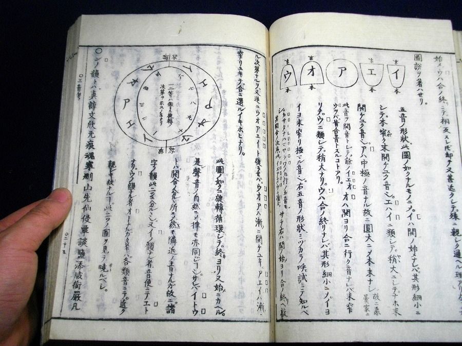 イメージ 5