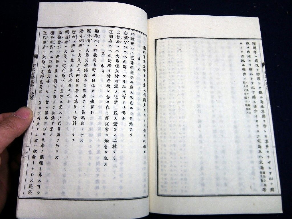 イメージ 6