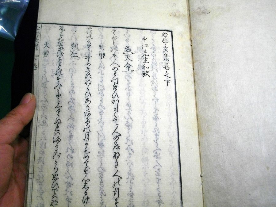 イメージ 6