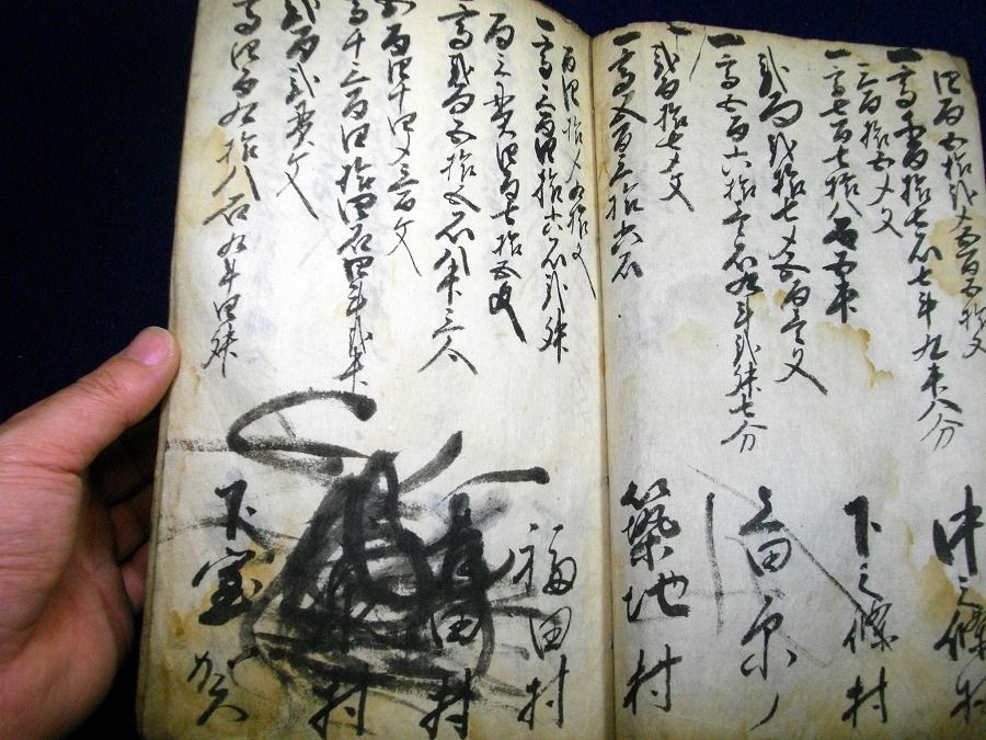 イメージ 3