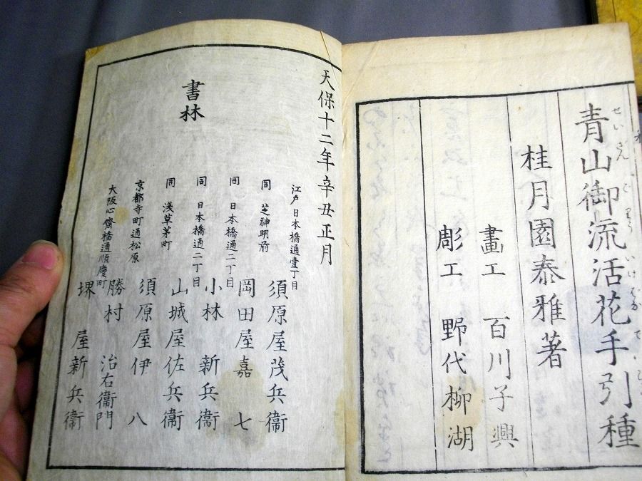 イメージ 5