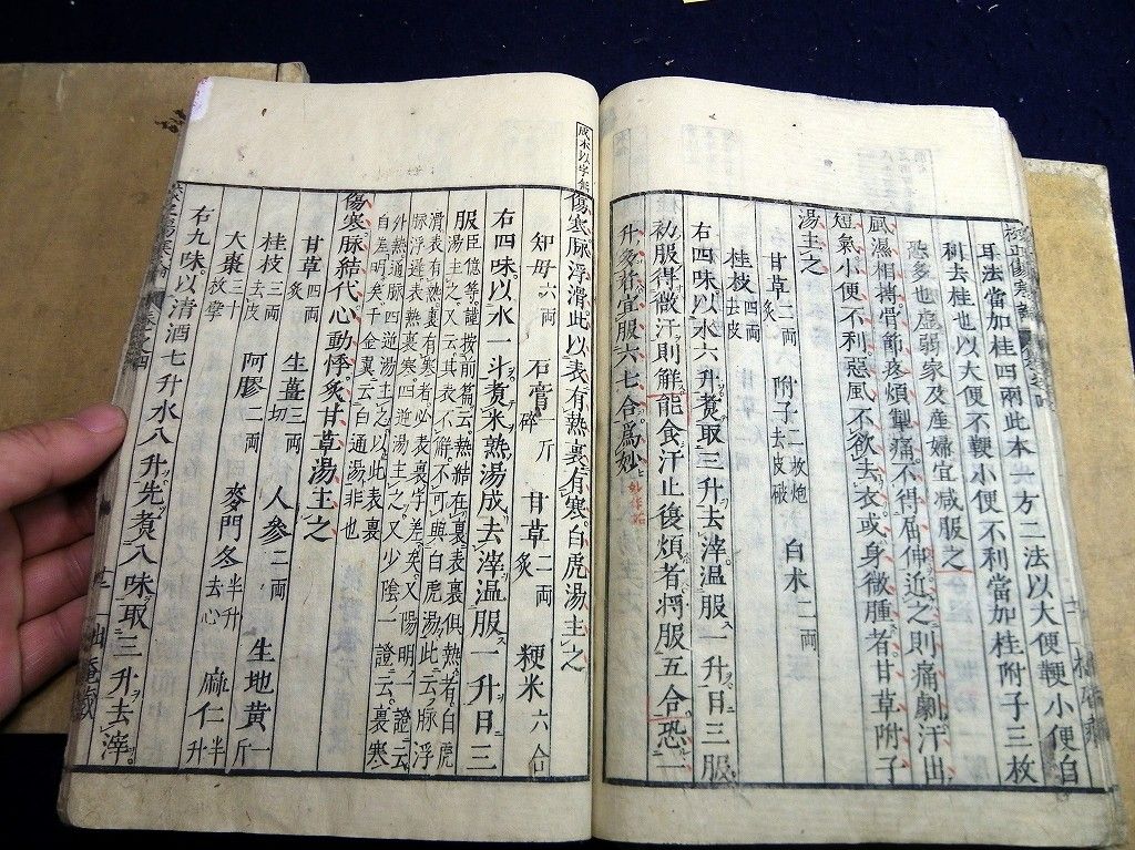 イメージ 7