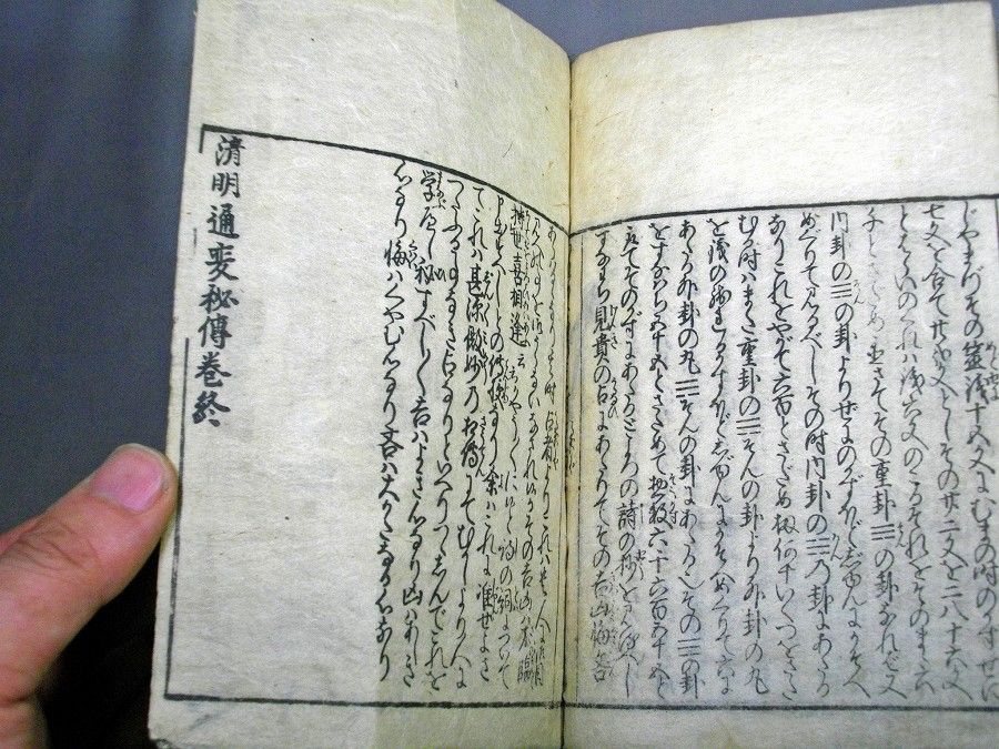イメージ 6