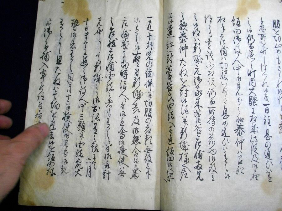イメージ 5