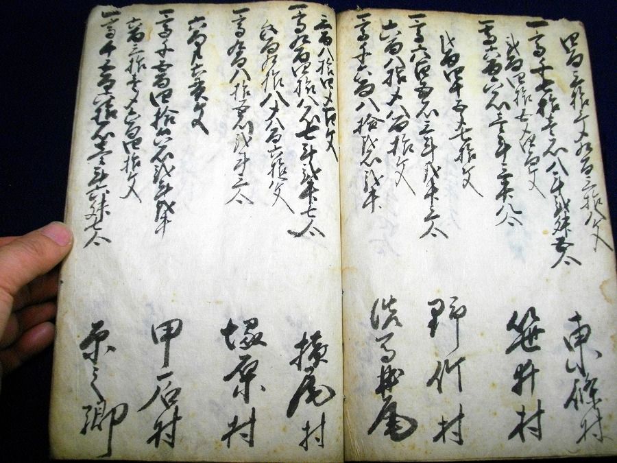 イメージ 5