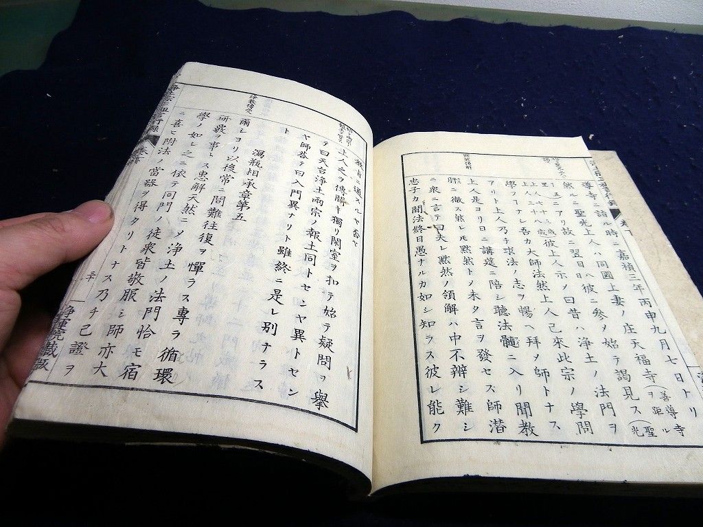 イメージ 6