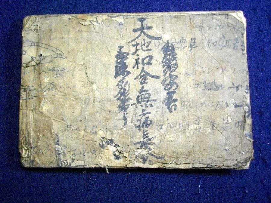 イメージ 10