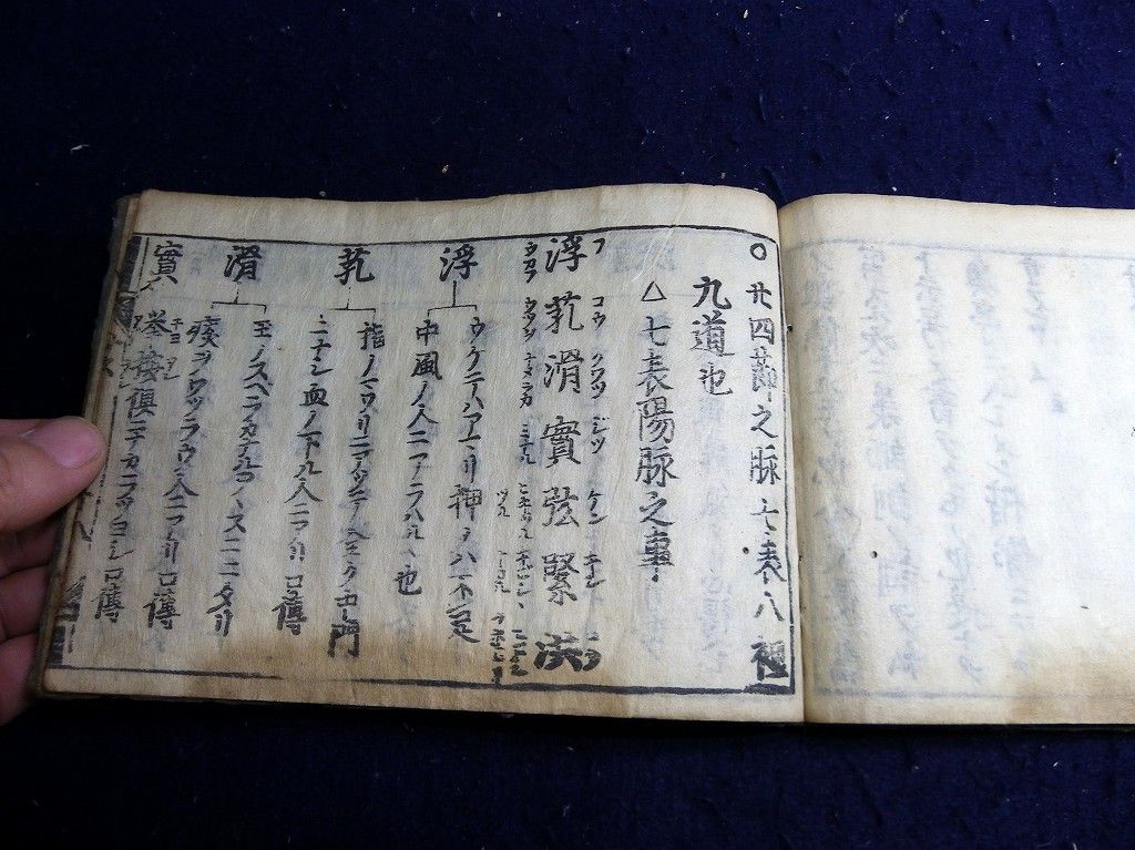 イメージ 11