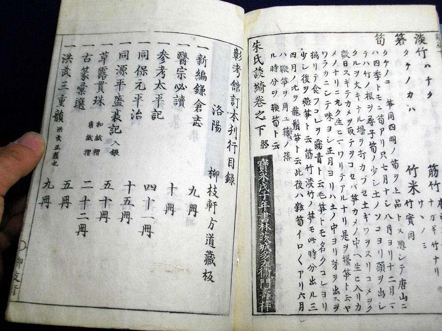 イメージ 5