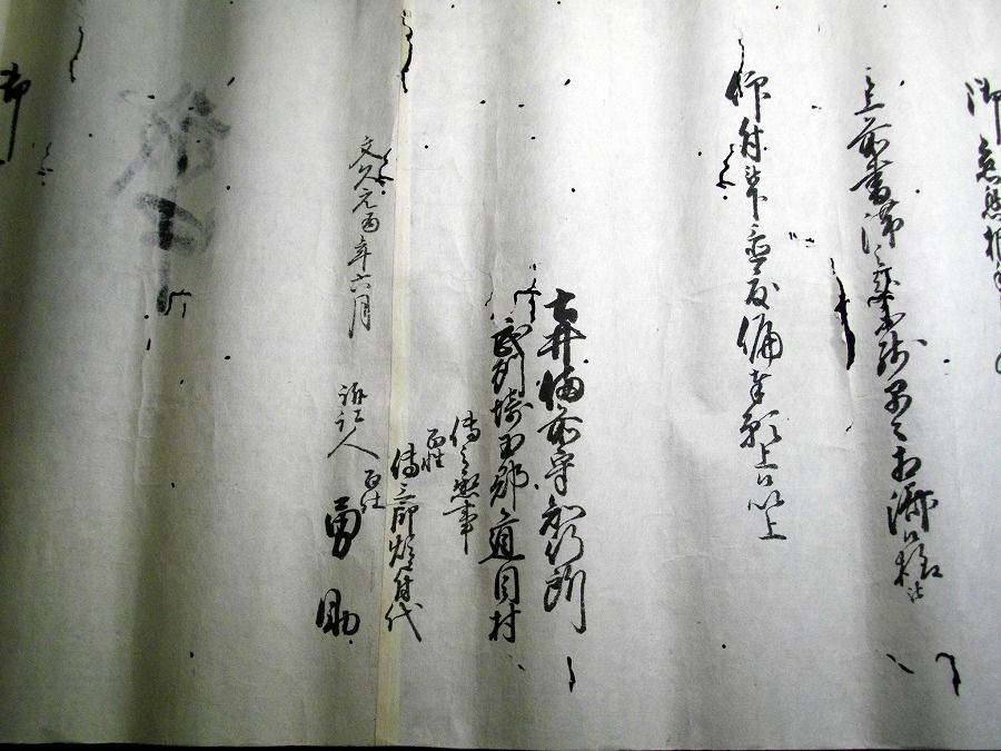 イメージ 4