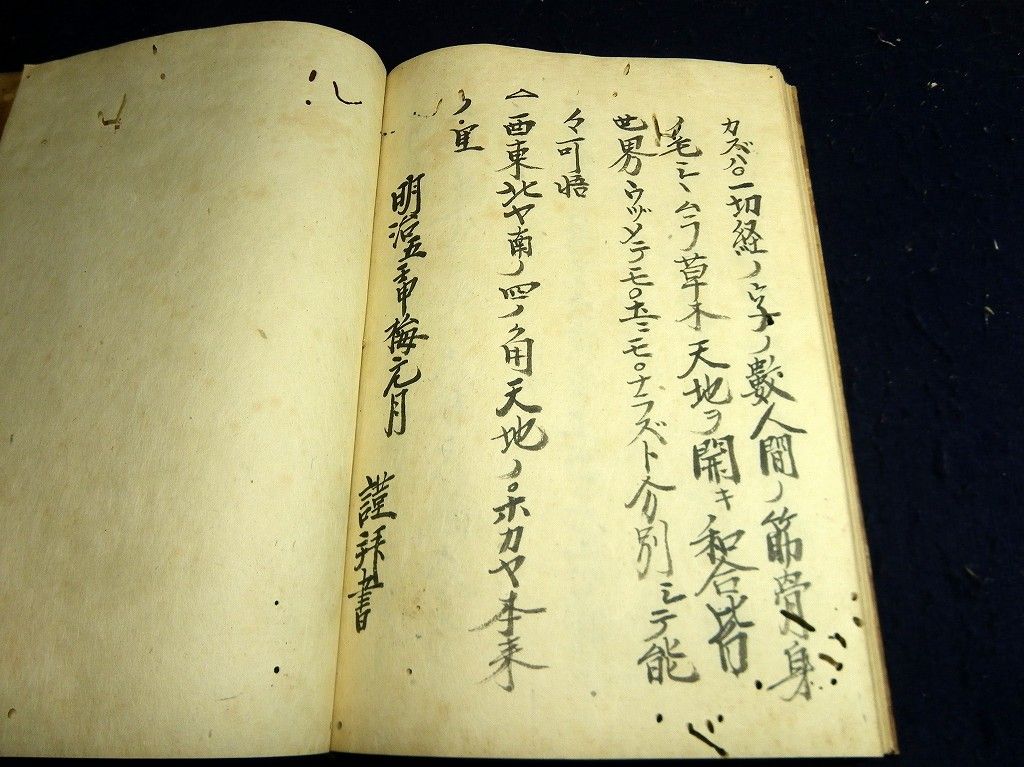 イメージ 10