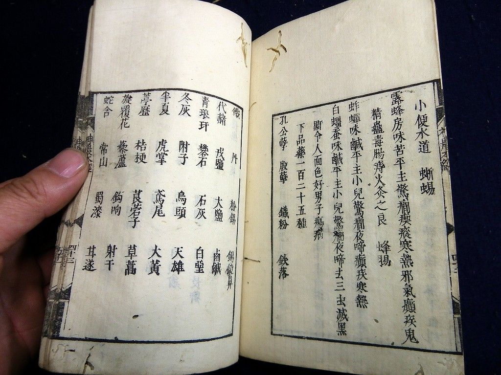 イメージ 6