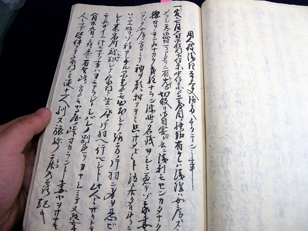 イメージ 5