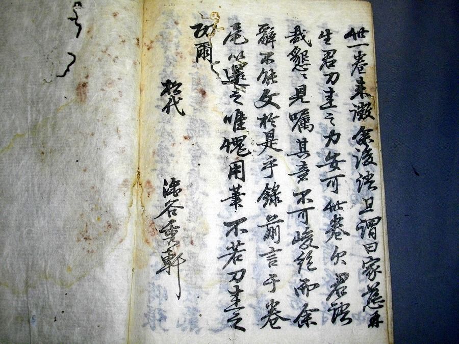 イメージ 7