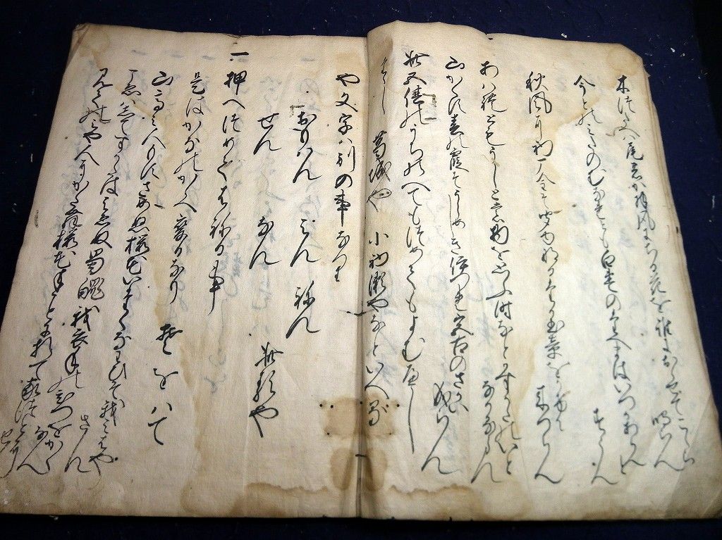 イメージ 4