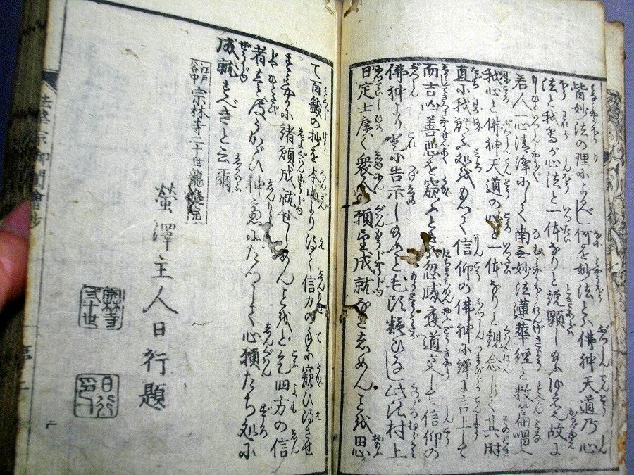 イメージ 3