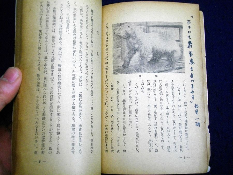 イメージ 4