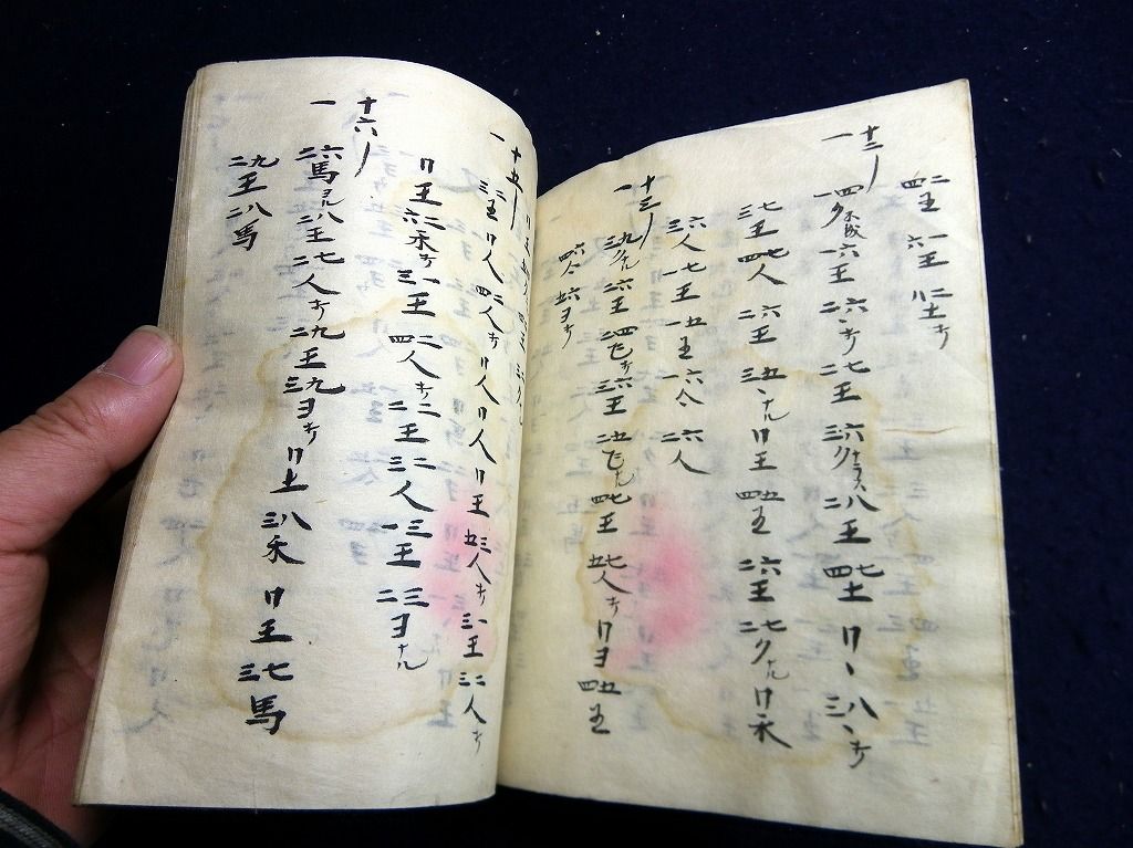 イメージ 3