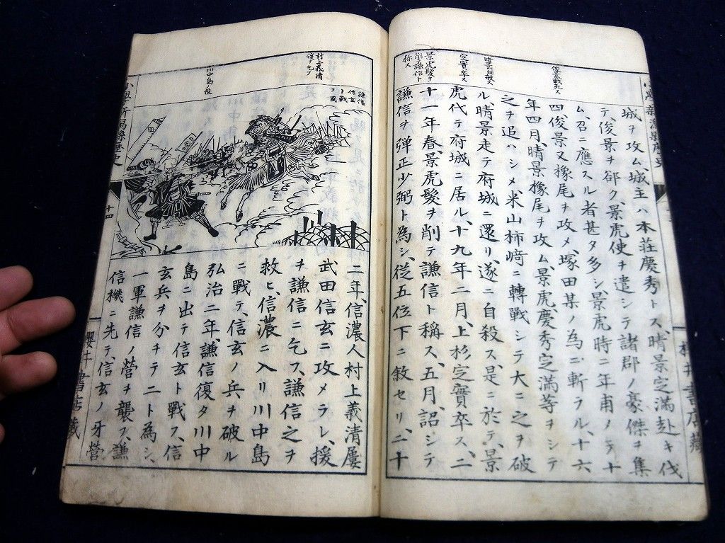 イメージ 7
