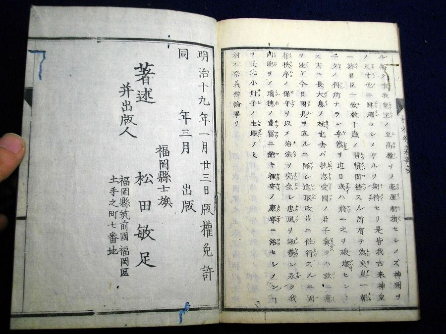 イメージ 8
