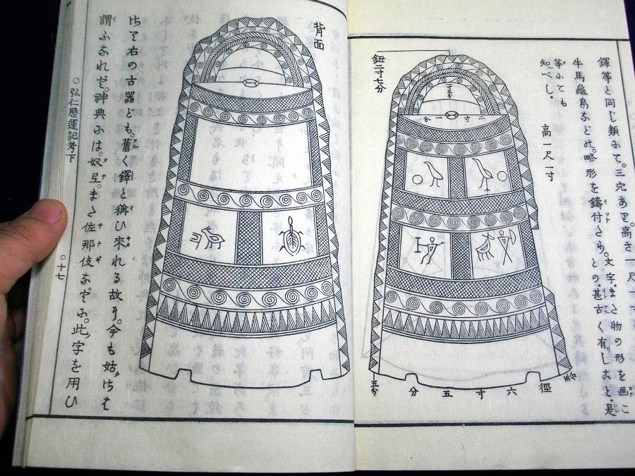 イメージ 8