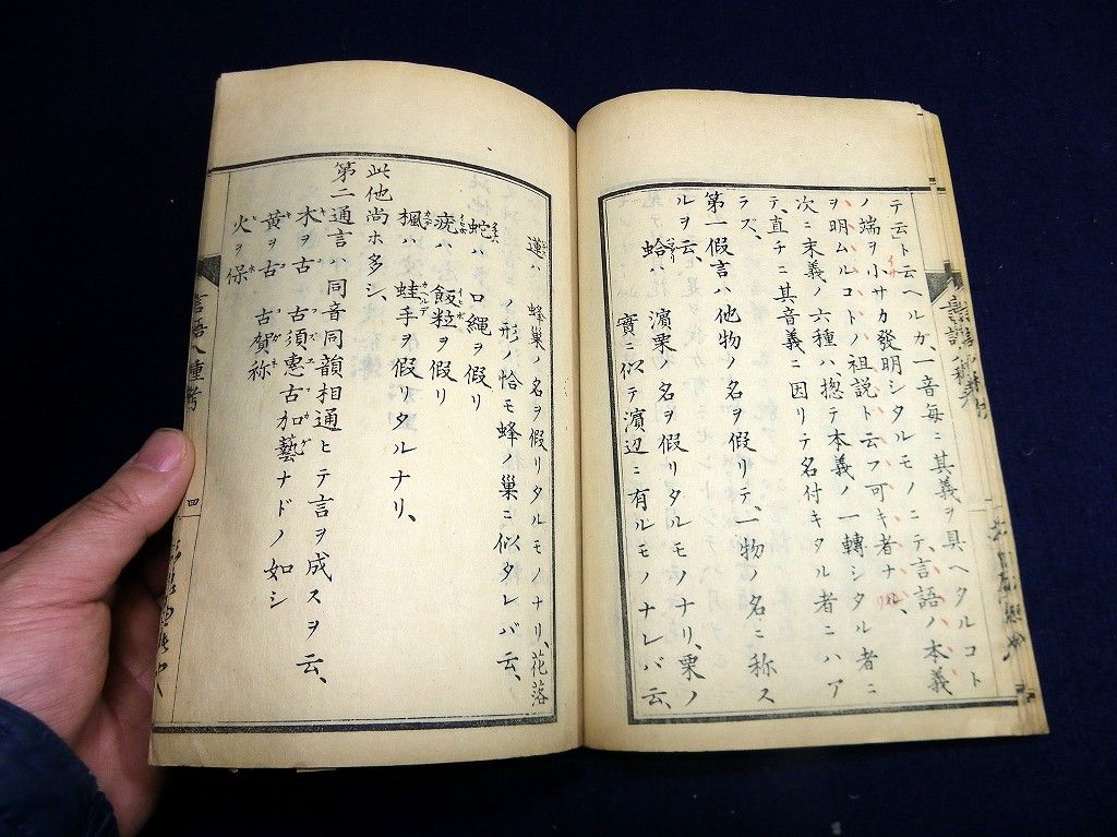 イメージ 7
