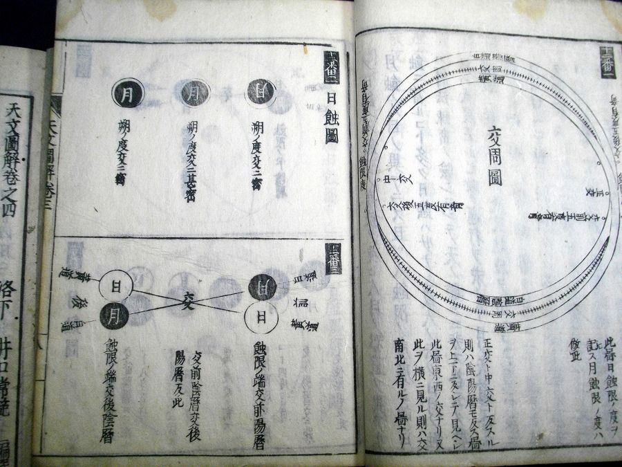 イメージ 6