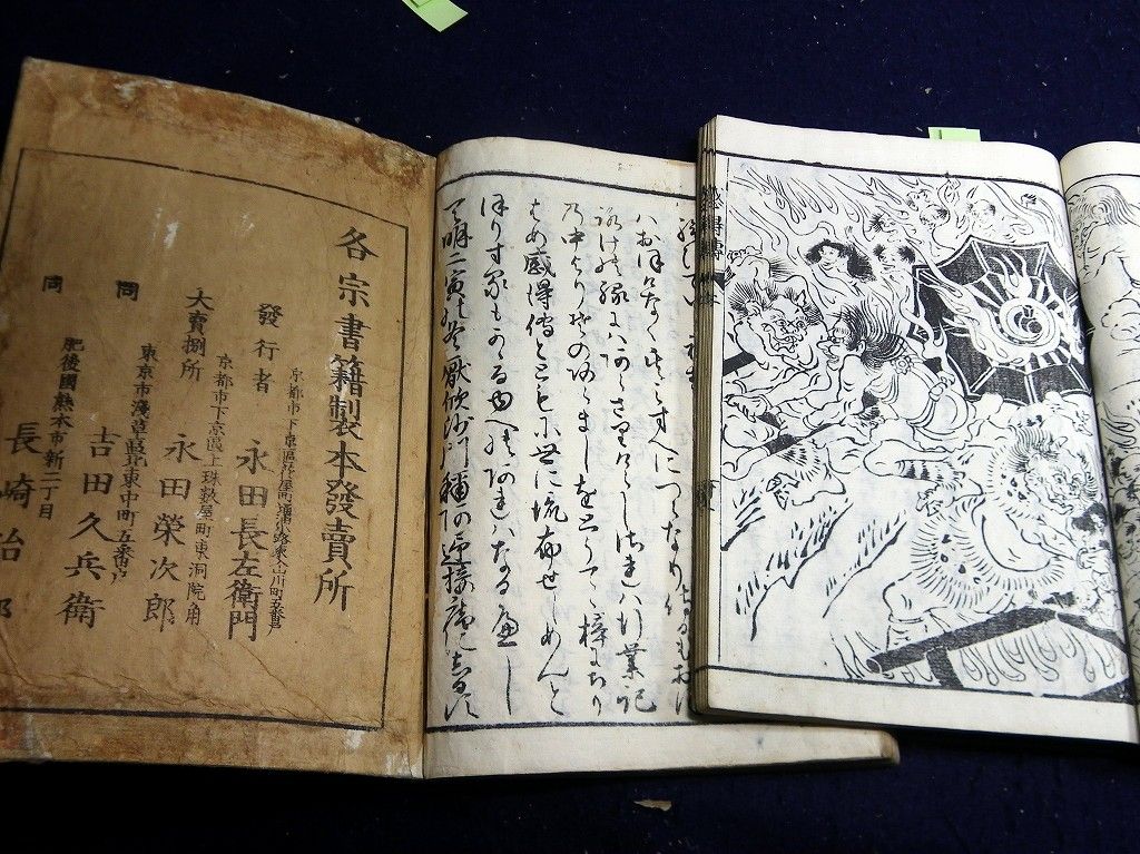 イメージ 8
