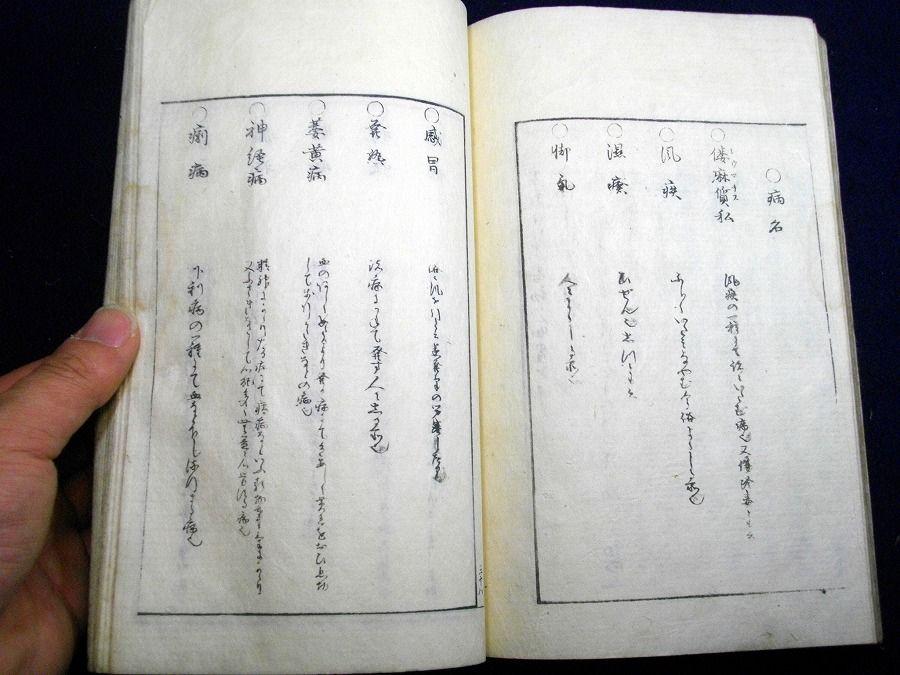 イメージ 5
