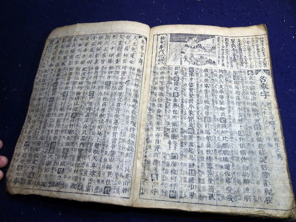 イメージ 9
