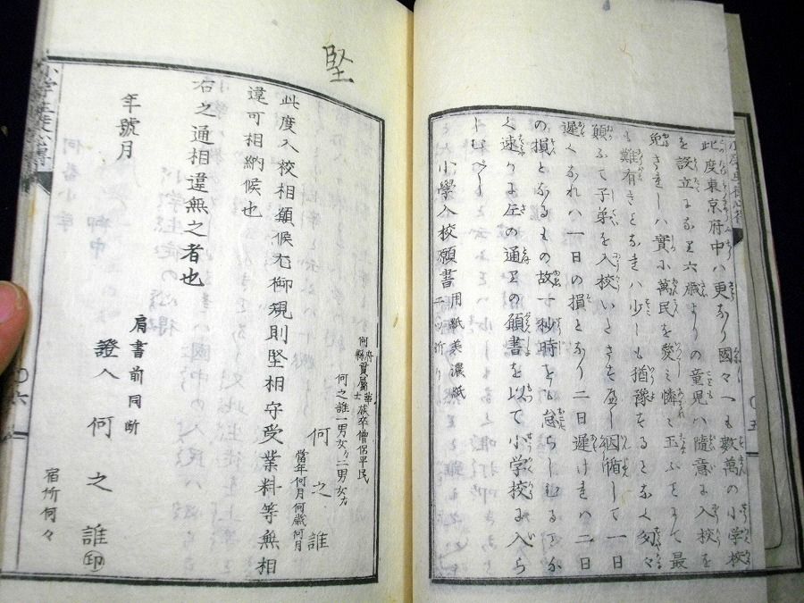 イメージ 3