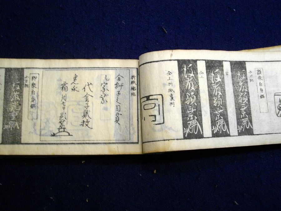 イメージ 6
