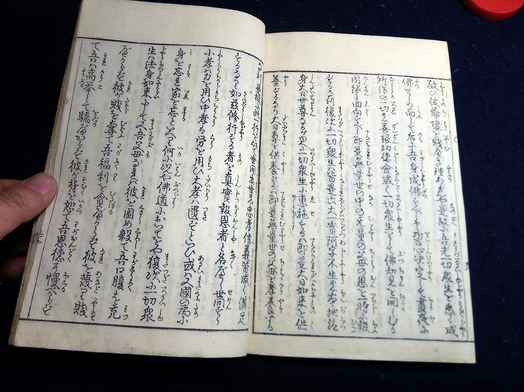イメージ 6