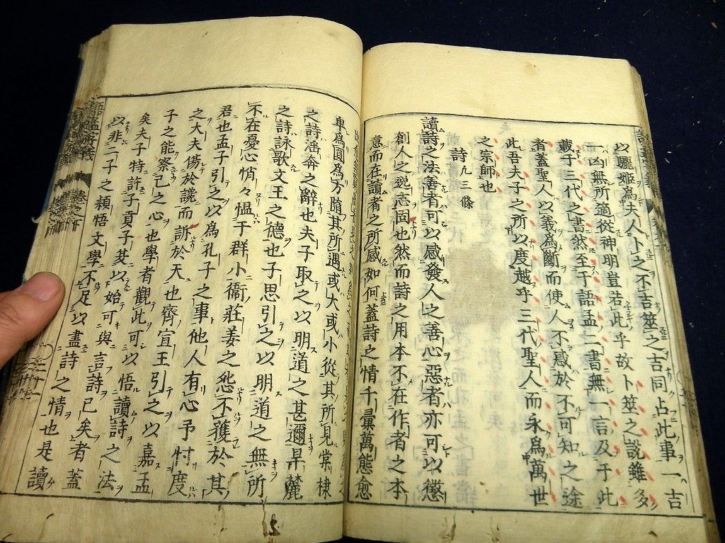 イメージ 7