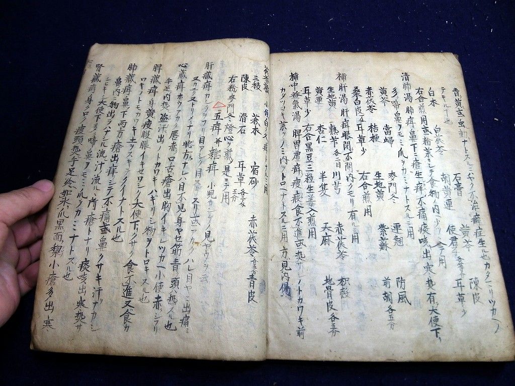 イメージ 8