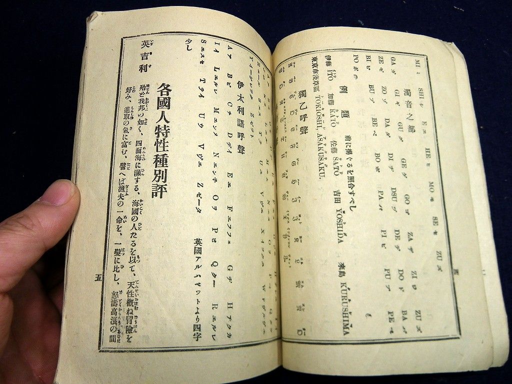 イメージ 5