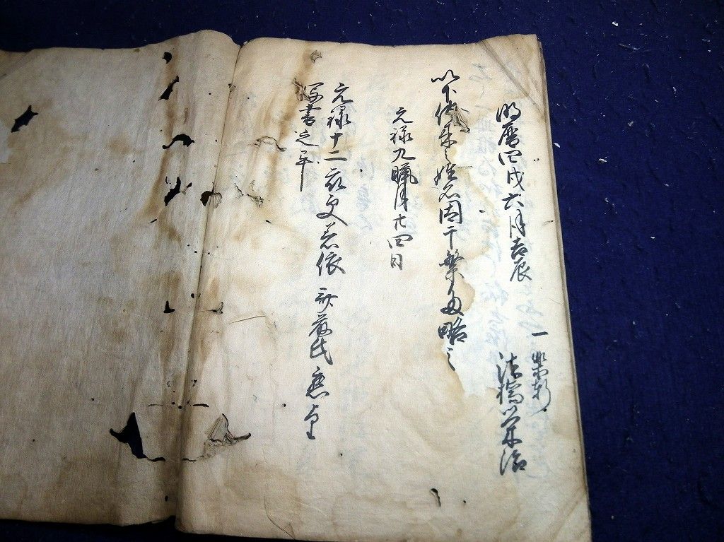 イメージ 13