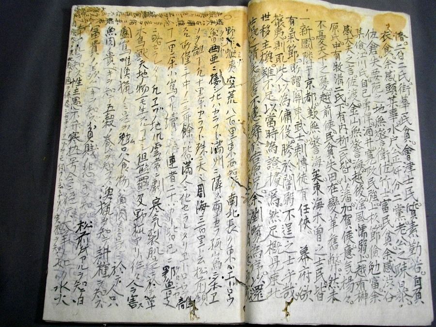 イメージ 3