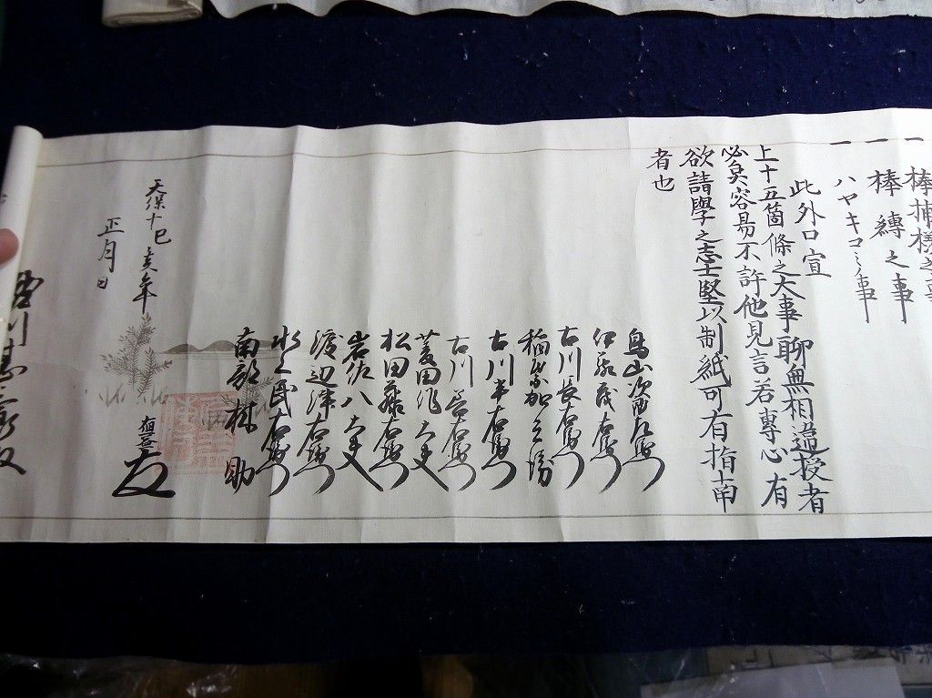 イメージ 8