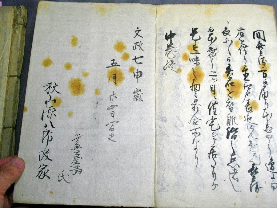 イメージ 5